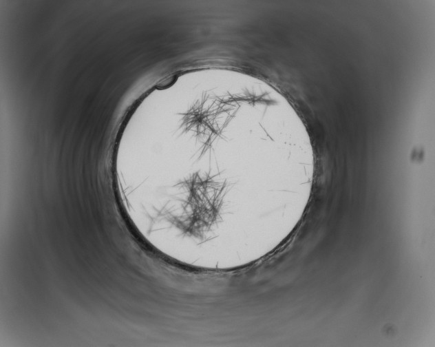 X0000100330004200807031246