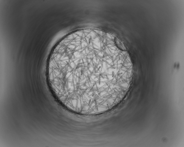 X0000100330006200807031246