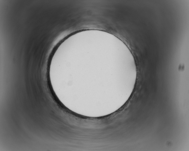 X0000100330008200807031246