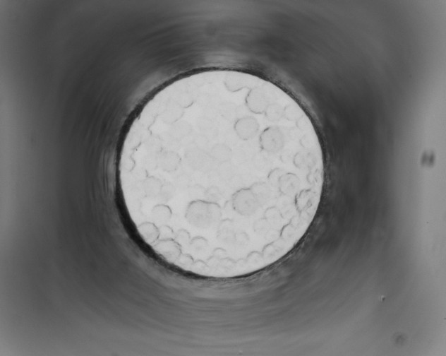 X0000100330011200807031246