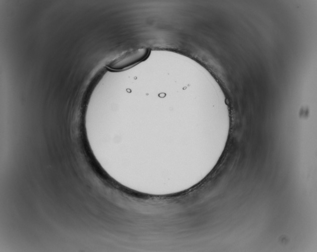 X0000100330012200807031246