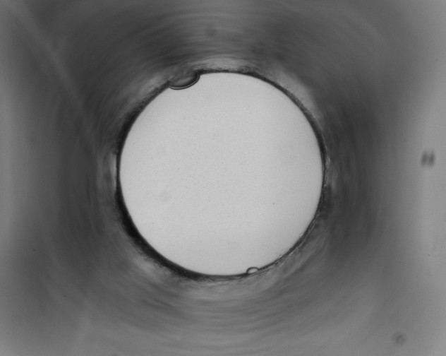 X0000100330013200807031246