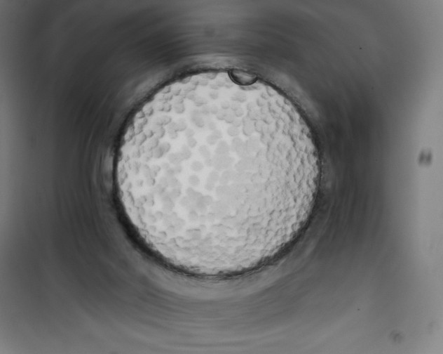 X0000100330014200807031246