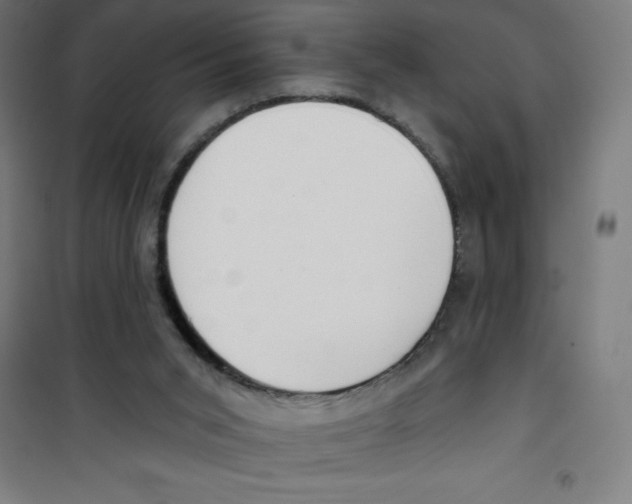 X0000100330015200807031246