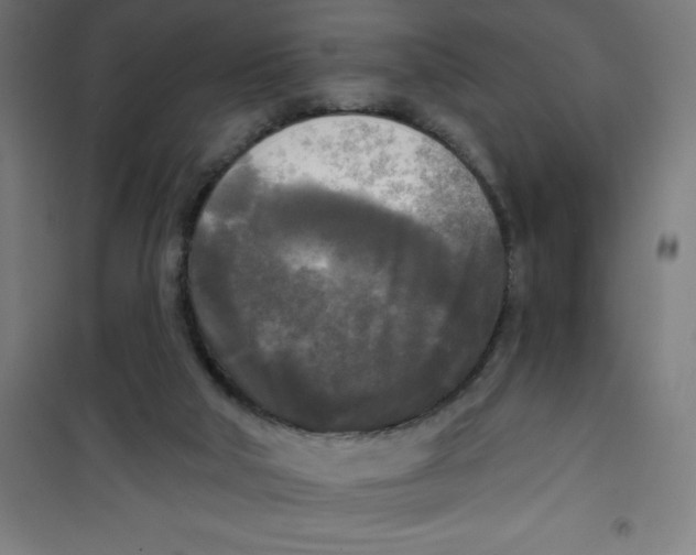 X0000100330018200807031245