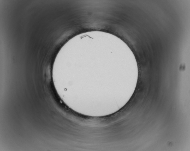 X0000100330020200807031245