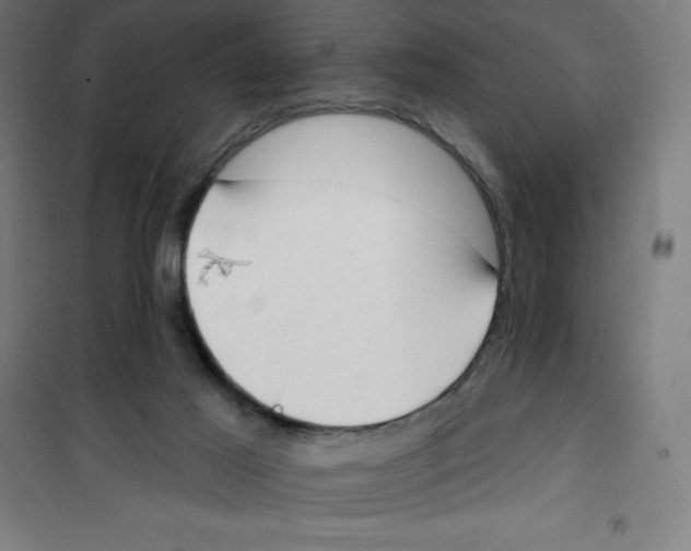 X0000100330021200807031245