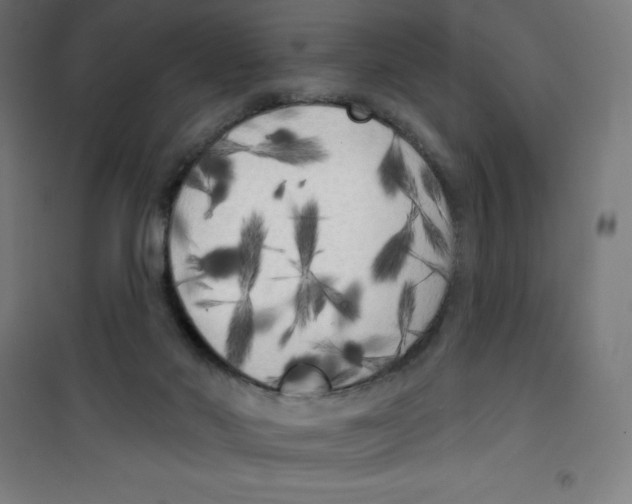 X0000100330022200807031245