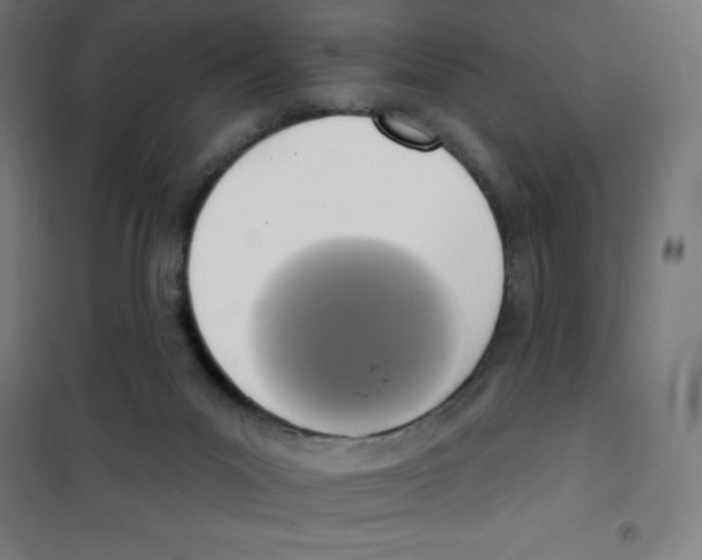 X0000100330023200807031245