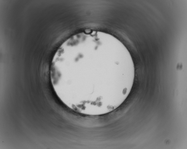 X0000100330024200807031245