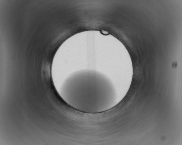 X0000100330027200807031245