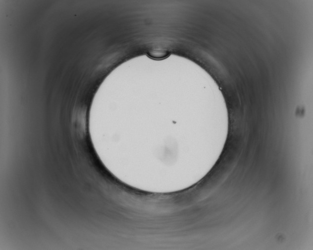 X0000100330028200807031245