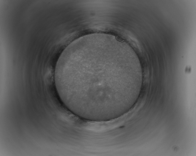 X0000100330029200807031245