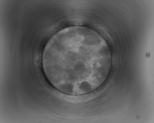 X0000100330030200807031245