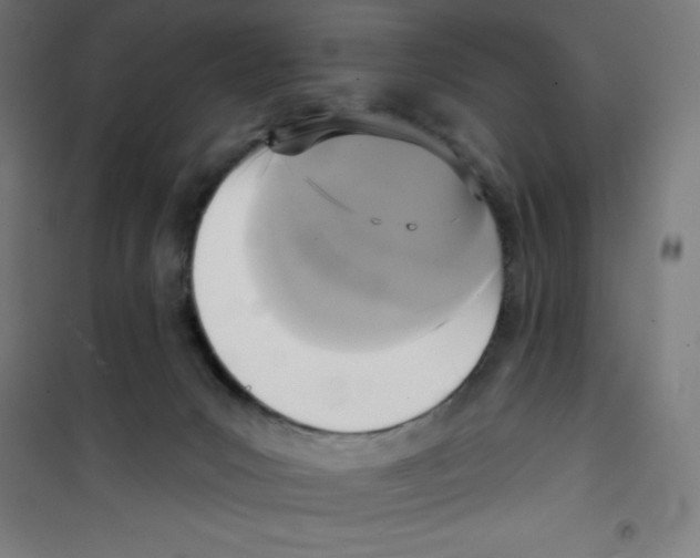 X0000100330031200807031245