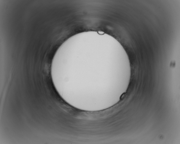 X0000100330033200807031245