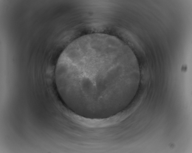 X0000100330034200807031245