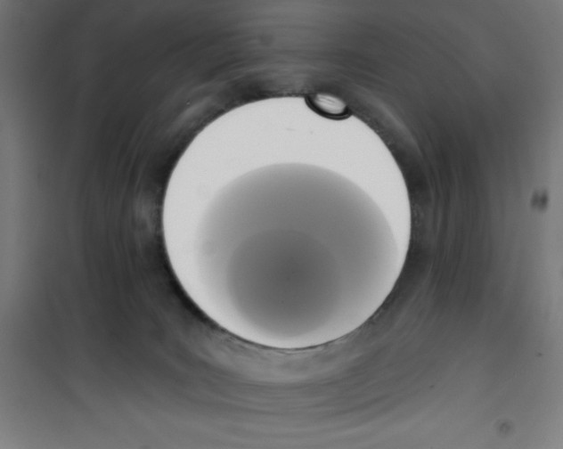 X0000100330035200807031245