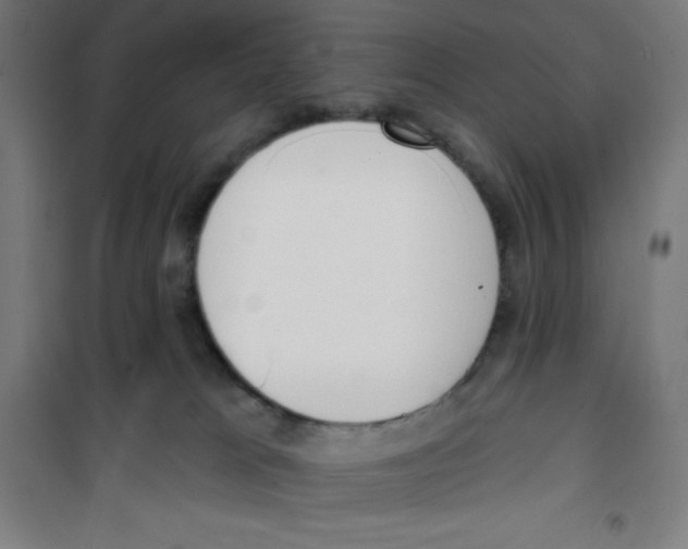 X0000100330037200807031245