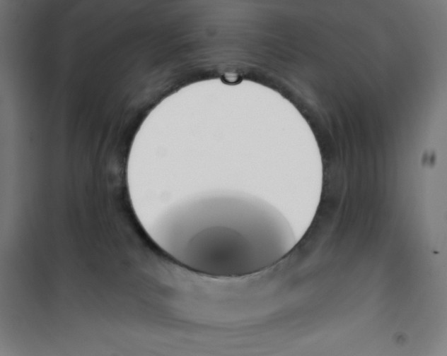 X0000100330039200807031245