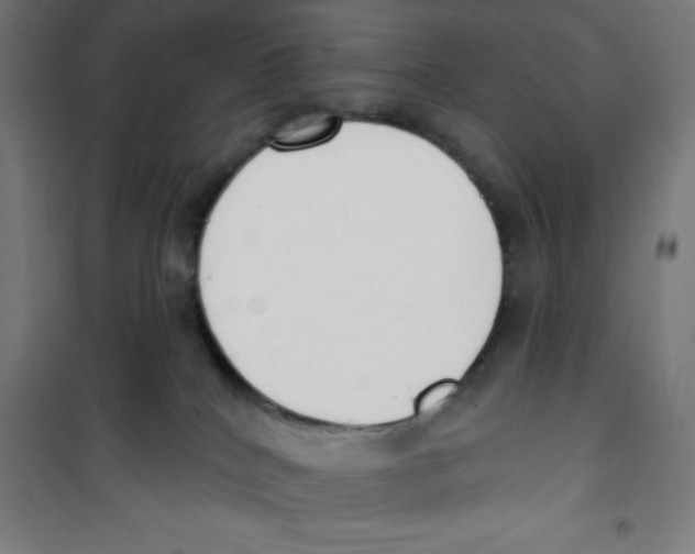 X0000100330040200807031245