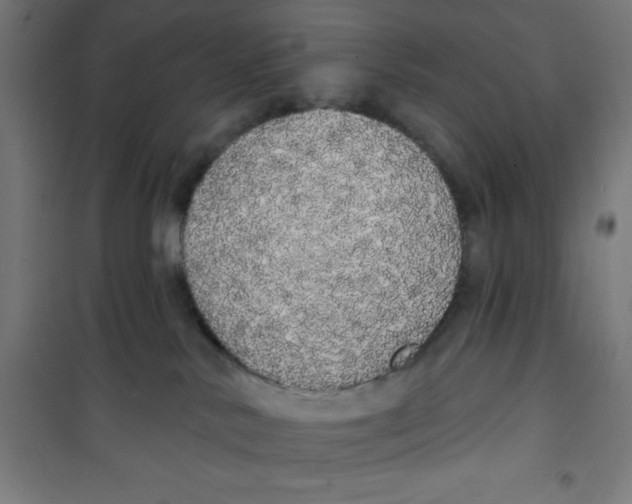 X0000100330042200807031245