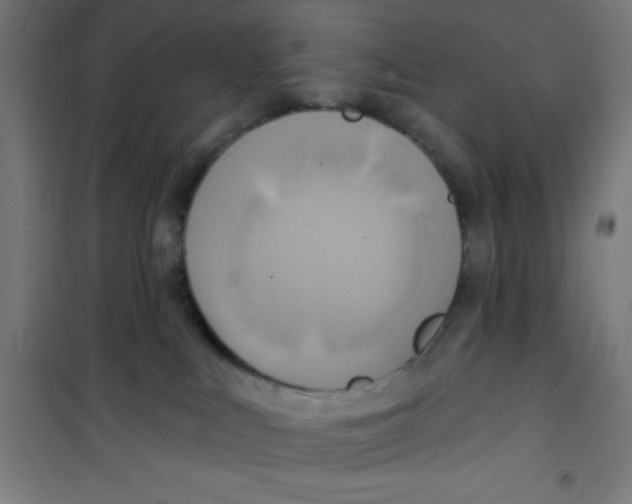 X0000100330043200807031245