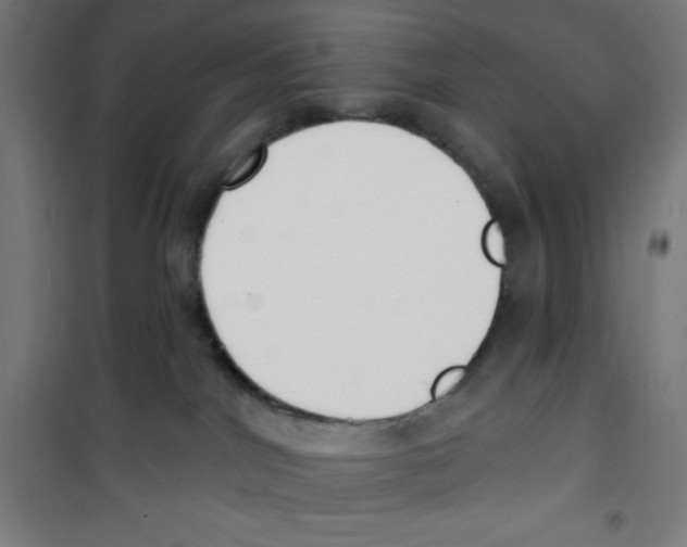 X0000100330044200807031245