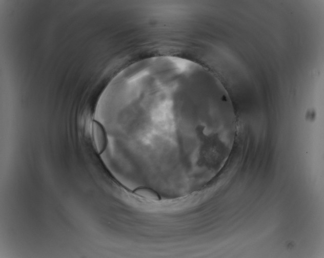 X0000100330046200807031245