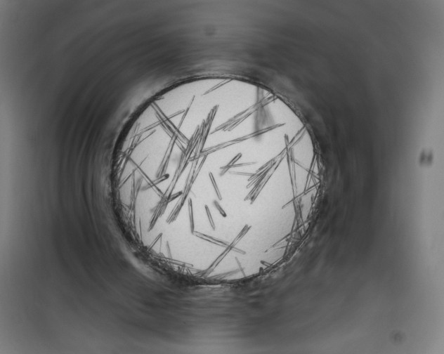 X0000100330050200807031244