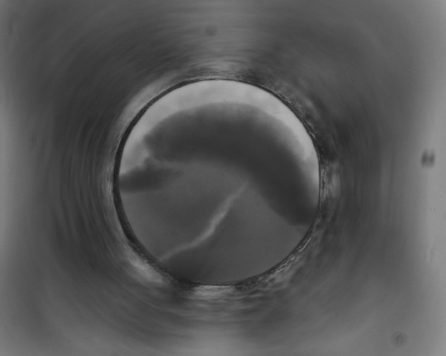 X0000100330051200807031244