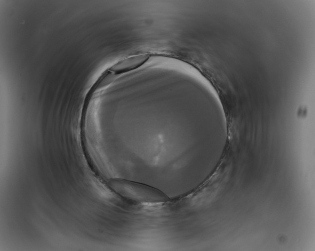 X0000100330052200807031244