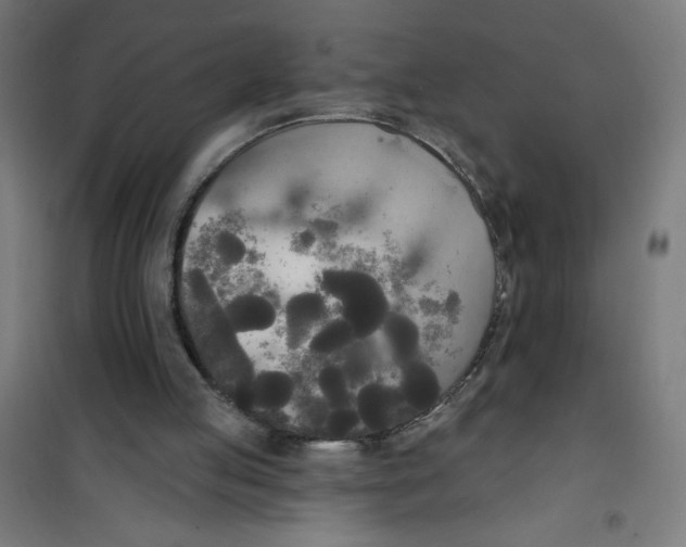 X0000100330053200807031244