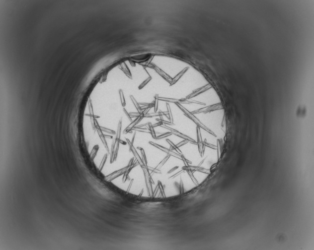 X0000100330054200807031244