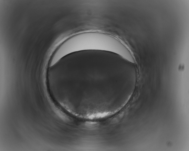 X0000100330055200807031244