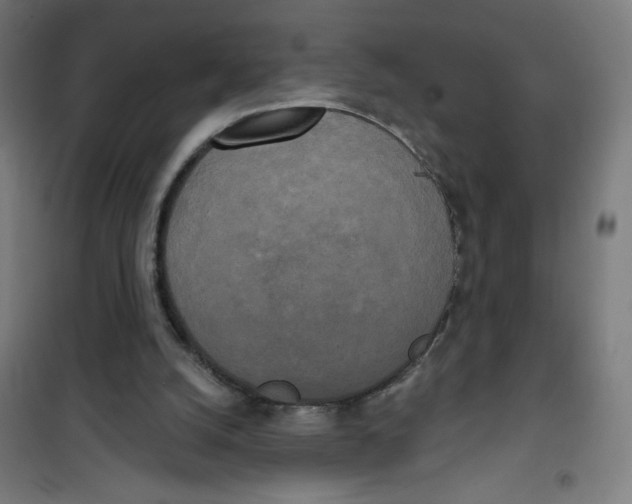 X0000100330056200807031244