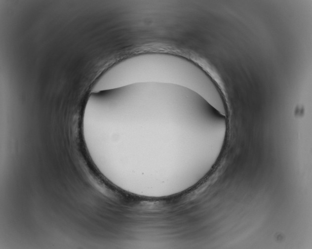 X0000100330057200807031244