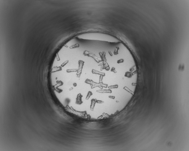 X0000100330058200807031244