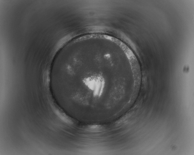 X0000100330059200807031244