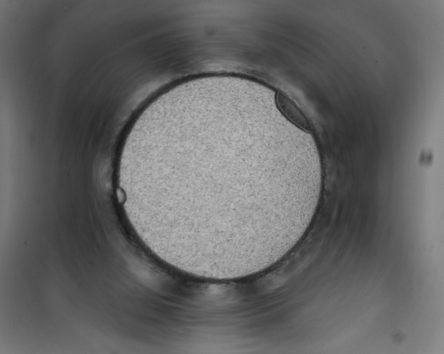 X0000100330060200807031244