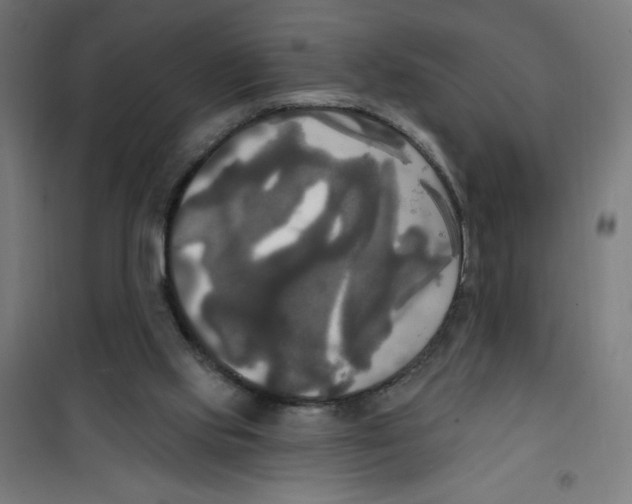 X0000100330061200807031244