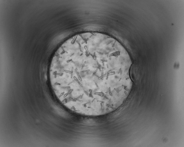 X0000100330062200807031245