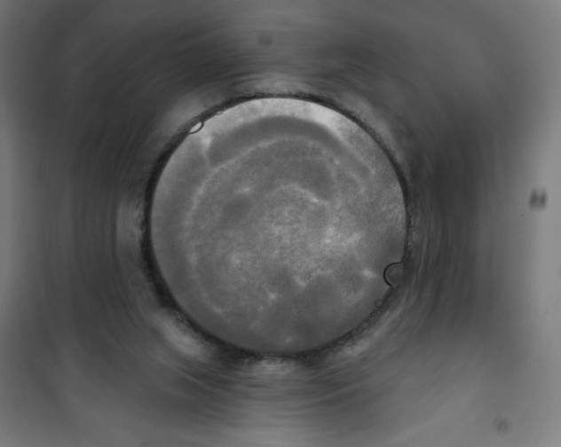 X0000100330063200807031245