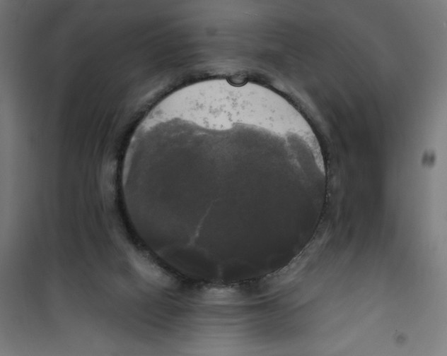 X0000100330066200807031245