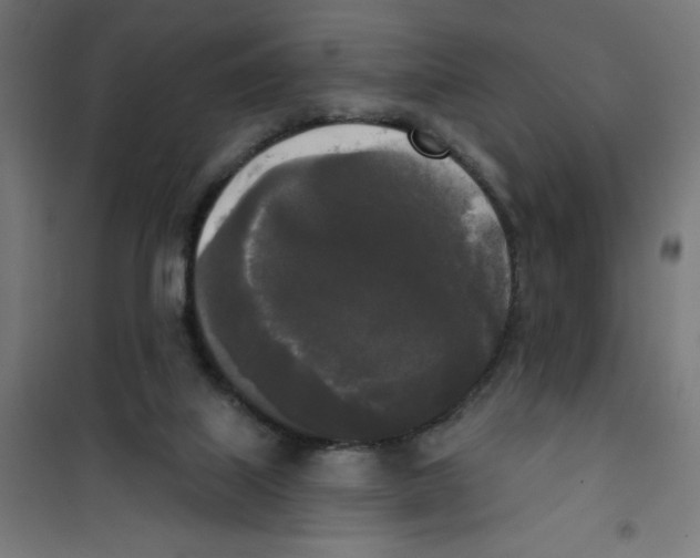 X0000100330067200807031245