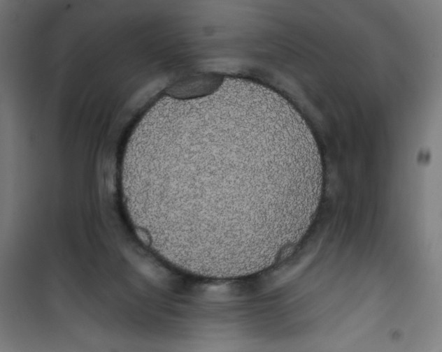 X0000100330068200807031245