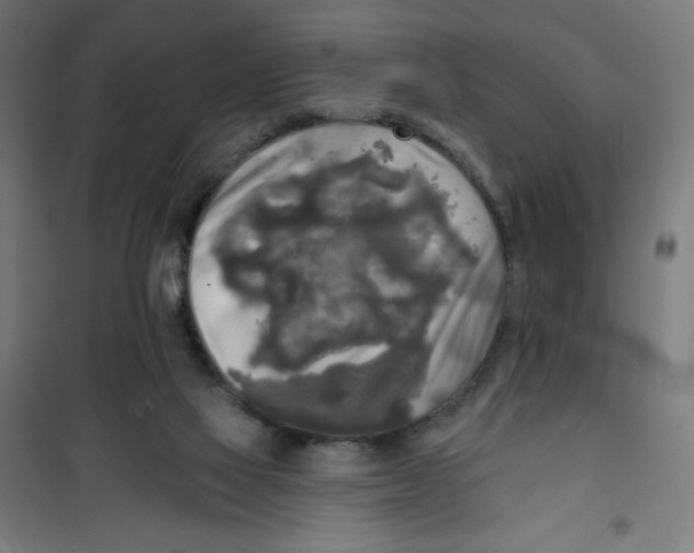 X0000100330069200807031245