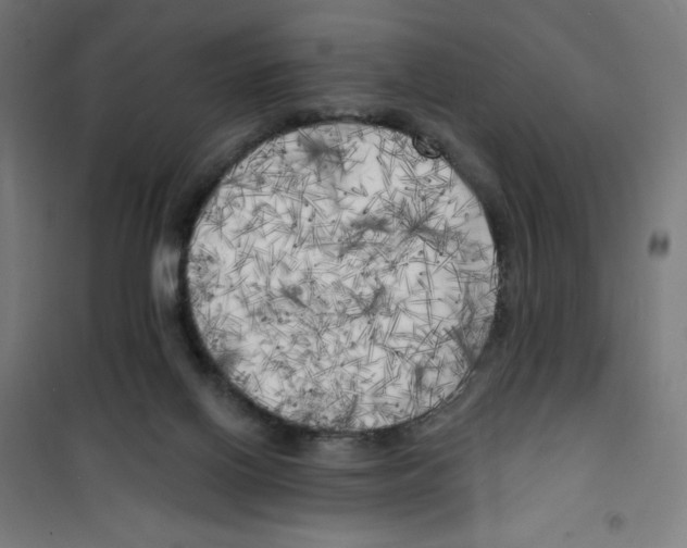 X0000100330070200807031245