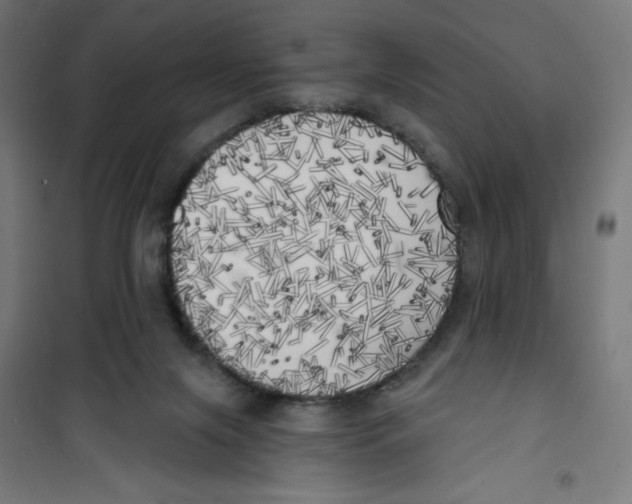 X0000100330071200807031245
