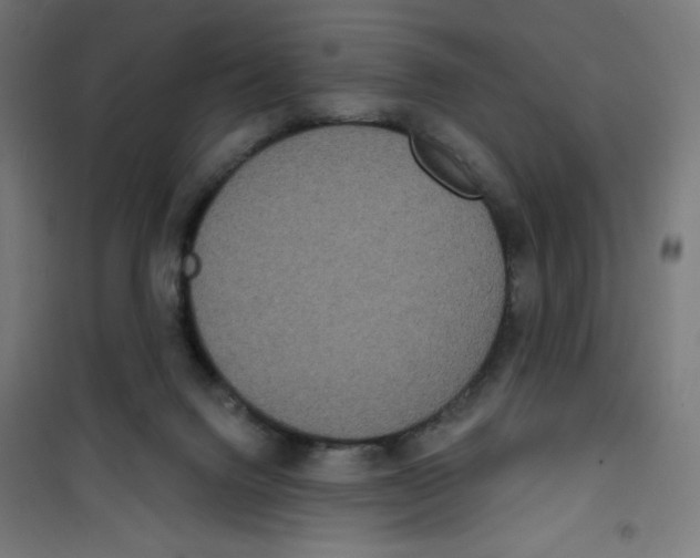 X0000100330072200807031245